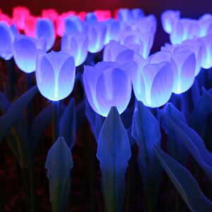 solar tulip flower light